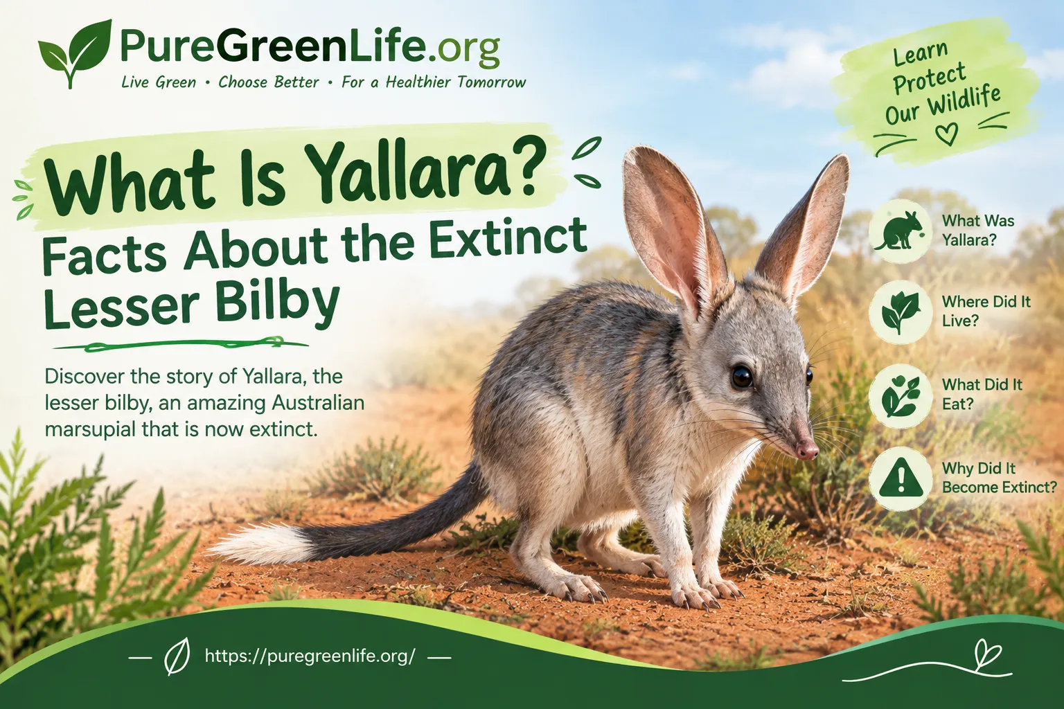 What Is Yallara