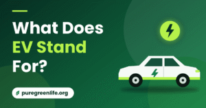 what does ev stand for