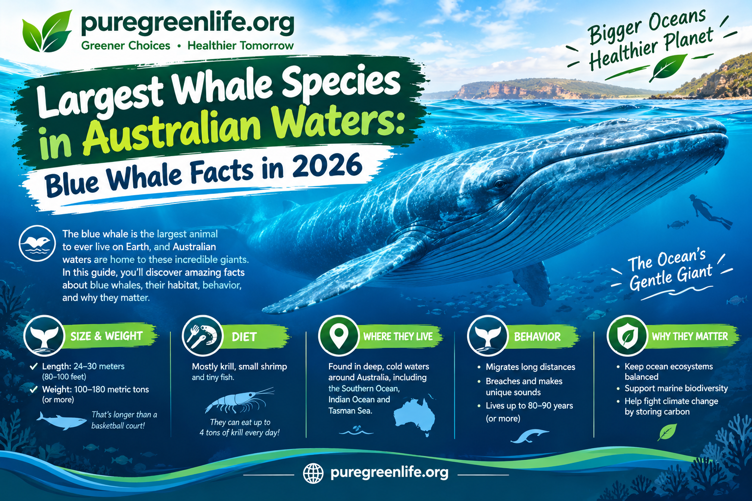blue whale habitat