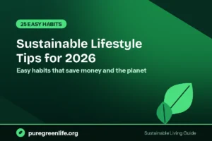How to Live More Sustainably: 25 Simple Tips for Everyday Life